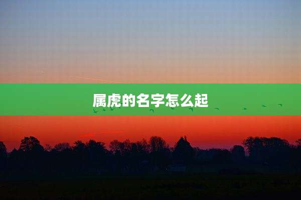 属虎的名字怎么起