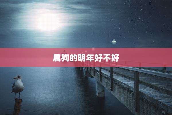 属狗的明年好不好