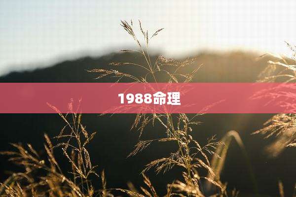 1988命理