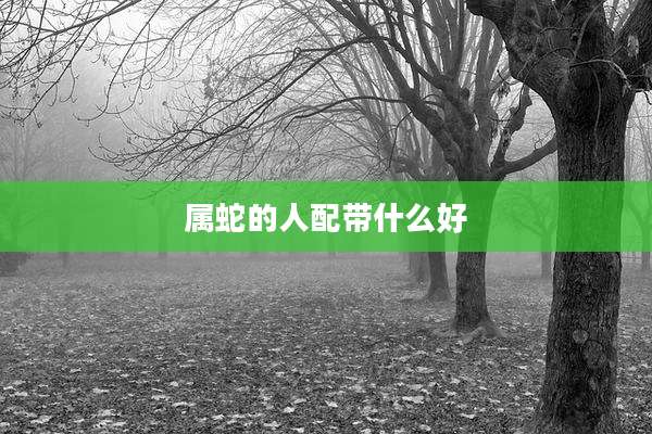 属蛇的人配带什么好