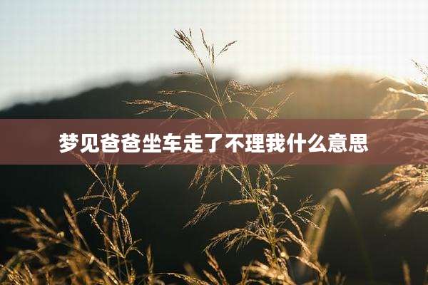 梦见爸爸坐车走了不理我什么意思