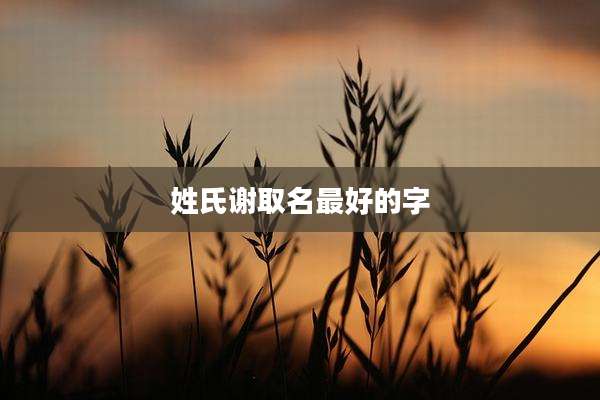 姓氏谢取名最好的字