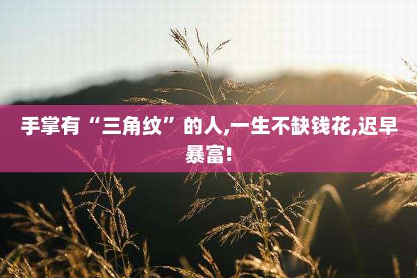手掌有“三角纹”的人,一生不缺钱花,迟早暴富!