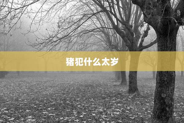 猪犯什么太岁