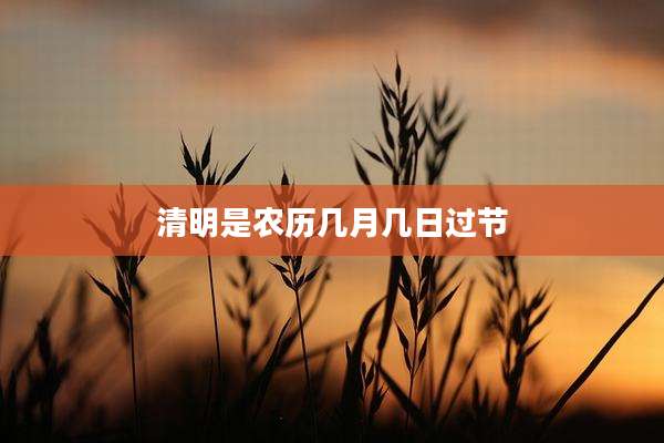 清明是农历几月几日过节