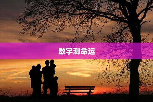 数字测命运