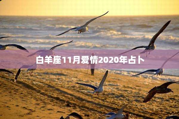 白羊座11月爱情2020年占卜