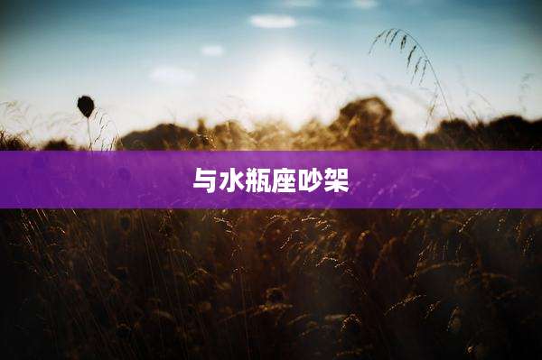 与水瓶座吵架