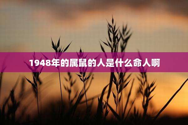 1948年的属鼠的人是什么命人啊