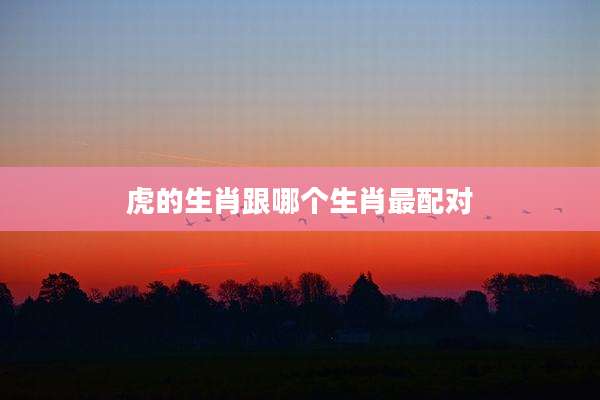 虎的生肖跟哪个生肖最配对