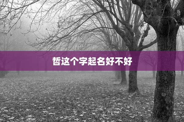 哲这个字起名好不好