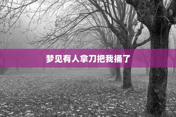 梦见有人拿刀把我捅了