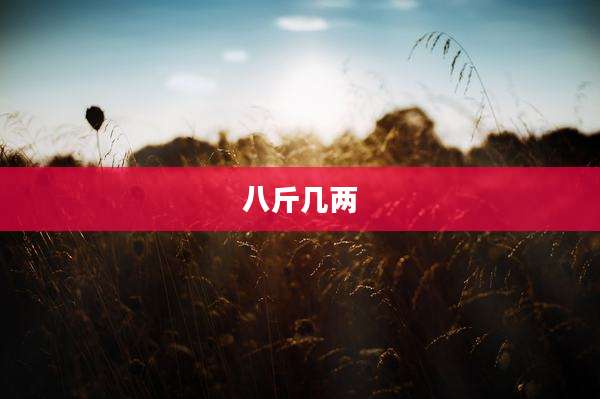 八斤几两