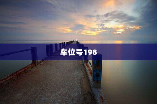 车位号198