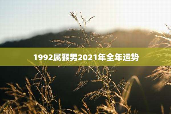 1992属猴男2021年全年运势