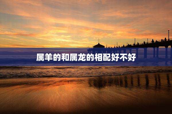 属羊的和属龙的相配好不好