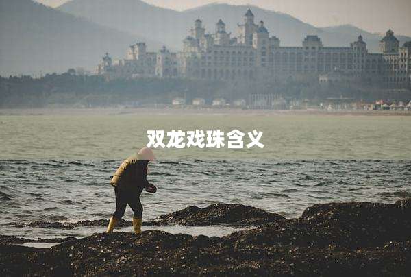 双龙戏珠含义