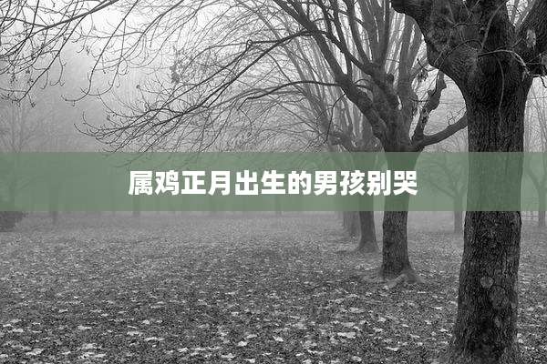 属鸡正月出生的男孩别哭