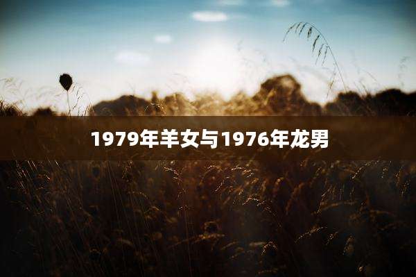 1979年羊女与1976年龙男