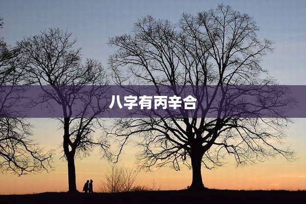 八字有丙辛合