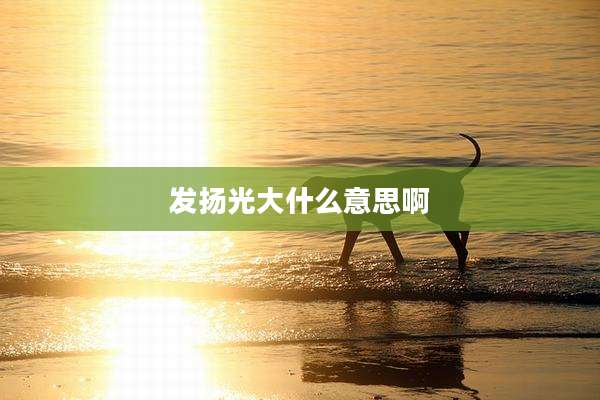 发扬光大什么意思啊