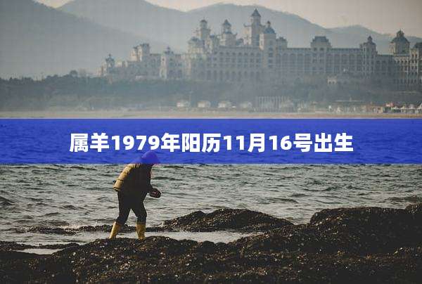 属羊1979年阳历11月16号出生