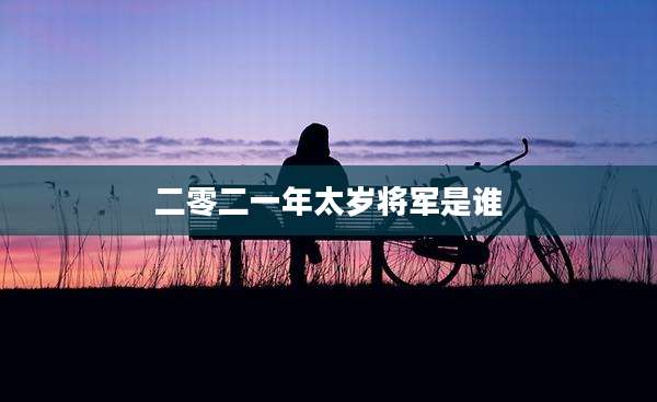 二零二一年太岁将军是谁