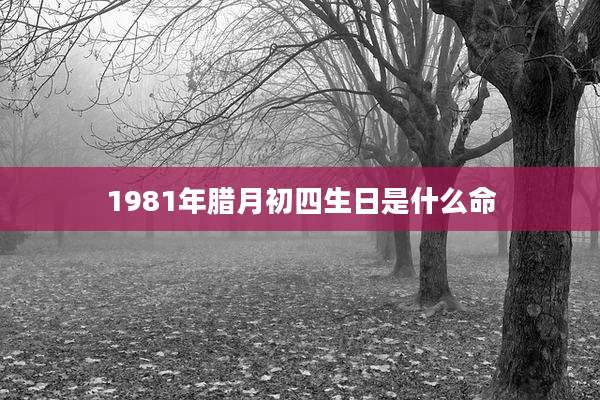 1981年腊月初四生日是什么命
