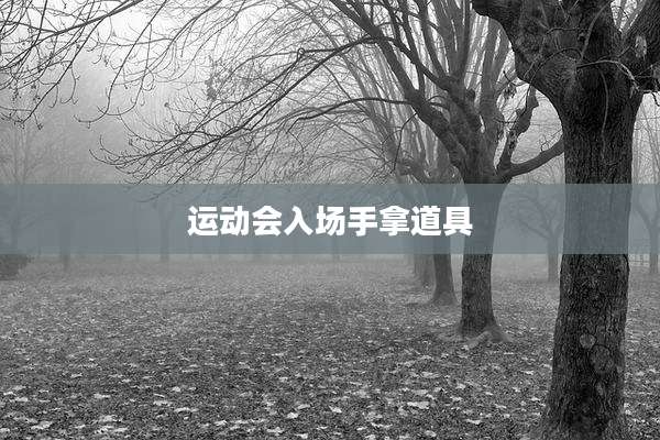 运动会入场手拿道具