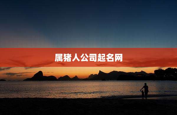 属猪人公司起名网