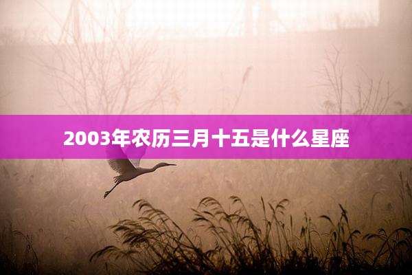2003年农历三月十五是什么星座
