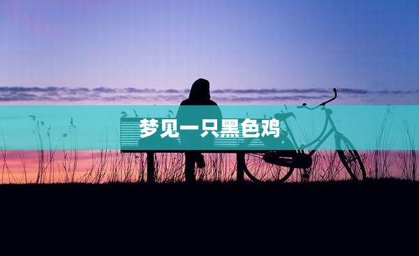 梦见一只黑色鸡