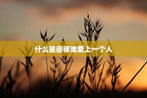 什么星座很难爱上一个人