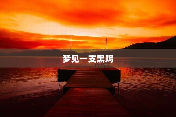梦见一支黑鸡