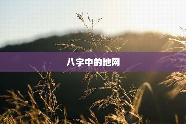 八字中的地网