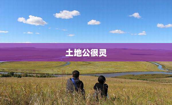 土地公很灵