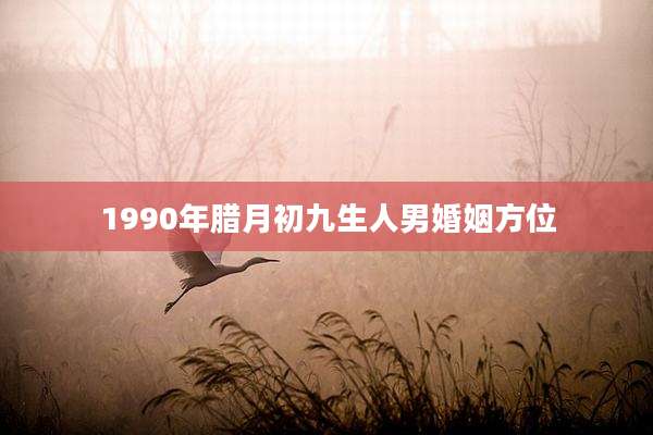 1990年腊月初九生人男婚姻方位