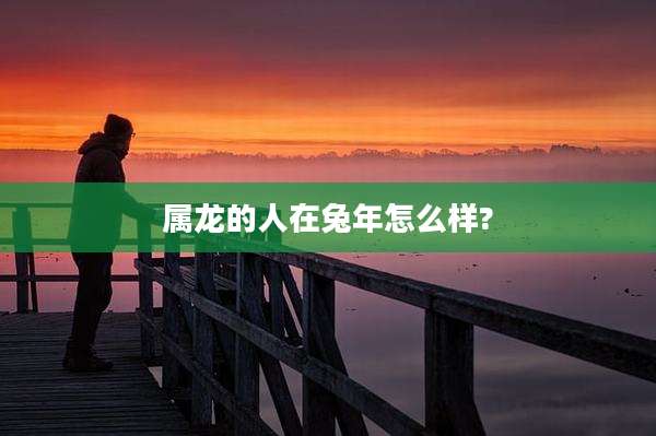 属龙的人在兔年怎么样?