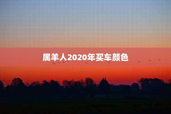 属羊人2020年买车颜色