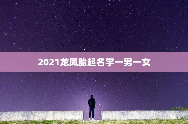 2021龙凤胎起名字一男一女
