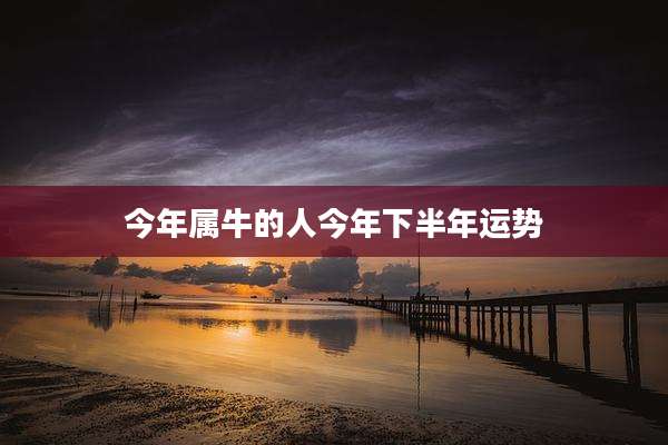 今年属牛的人今年下半年运势