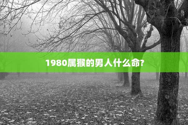 1980属猴的男人什么命?