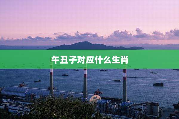 午丑子对应什么生肖