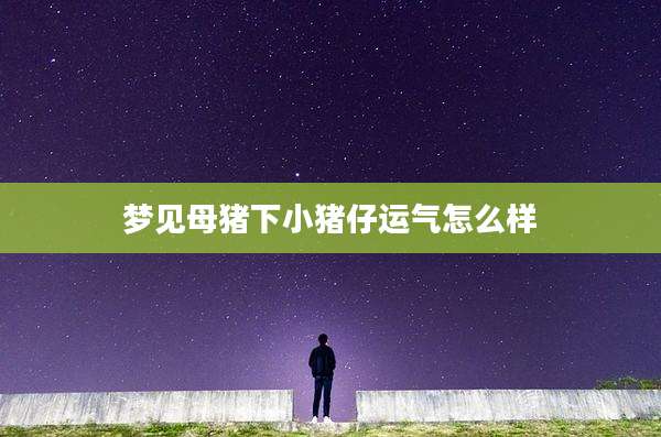 梦见母猪下小猪仔运气怎么样