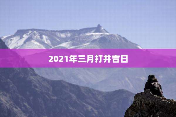 2021年三月打井吉日