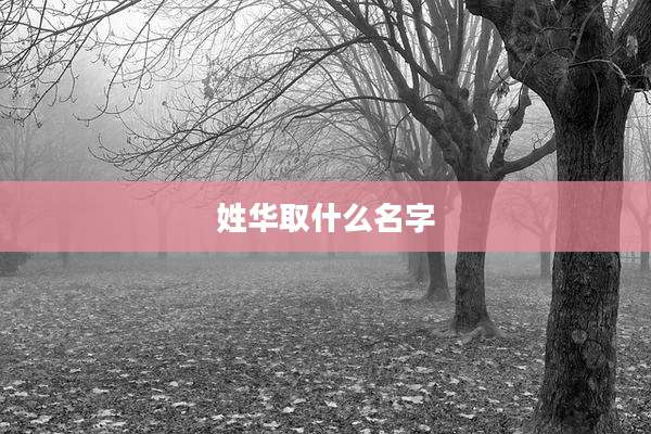 姓华取什么名字