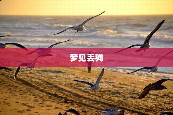 梦见丢狗