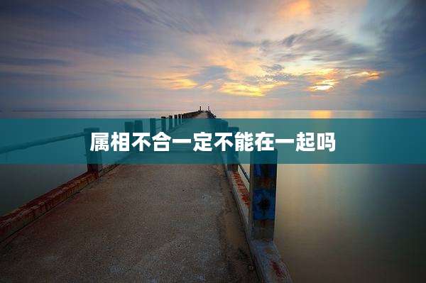 属相不合一定不能在一起吗