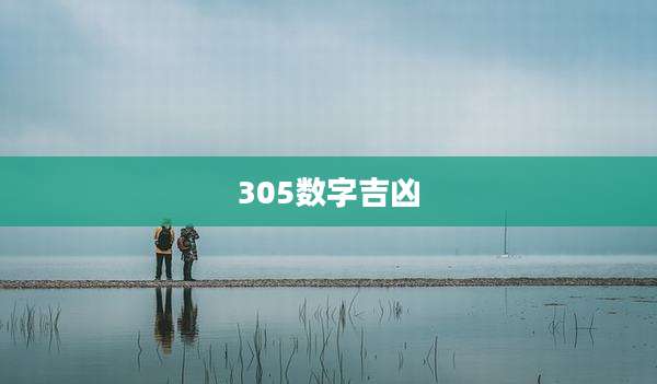 305数字吉凶