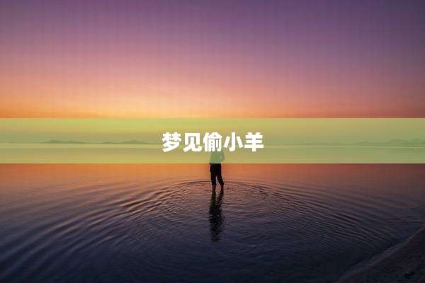 梦见偷小羊